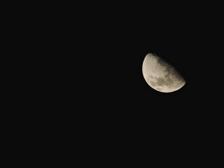 Luna de noche 