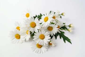 Daisy bouquet with leaves isolated on white. Flat lay with copy space. Generative AI
