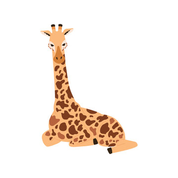 Sitting giraffe cartoon character flat vector illustration isolated on white