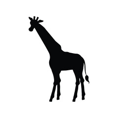 Black silhouette of going giraffe side view flat style, vector illustration