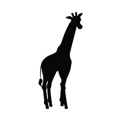 Black silhouette of standing giraffe flat style, vector illustration