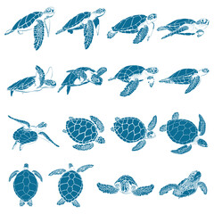  graphic sea turtle,vector illustration of sea turtle,vector of turtle design on a white background,save a turtle.