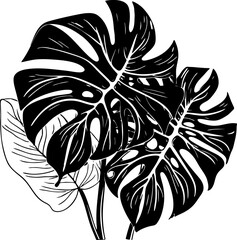 Tropical leaves, black silhouette. Palm leaves. Vector illustration on white isolated background. Summer concept. Good for packaging, logo, and decor. © Orange Brush