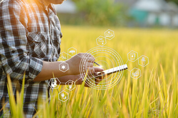Farmer giving advice on wheat work online on tablet in wheat field - obrazy, fototapety, plakaty