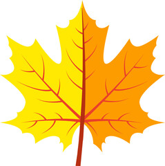 Maple leaf