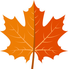 Fototapeta premium Maple leaf