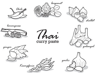 Vector hand drawn lines on a white background about Thai herbs that are condiments in Thai food to present Thai food such as ginger, galangal, lemongrass, kaffir lime leaves, etc.