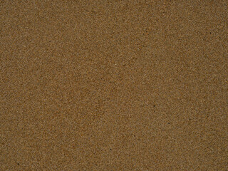 sandy beach texture