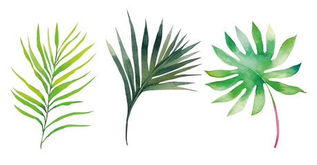 Vector tropical exotic leaves, watercolor jungle leaves isolated