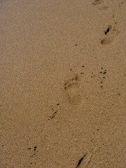 Fototapeta na wymiar human footprints on the beach