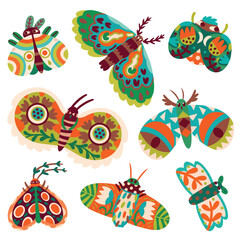 Collection of moths in modern and floral style