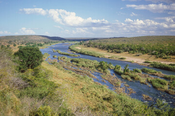 Olifants River In Kruger National Park - obrazy, fototapety, plakaty