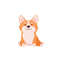 Smiling sitting corgi dog flat style, vector illustration