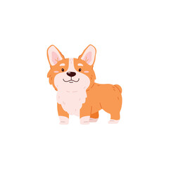 Cute corgi dog standing, cartoon flat vector illustration isolated on white background.