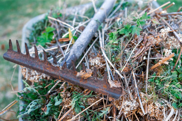 trimmed grass and rusty