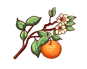 Tangerine orange fruit. Branch with mandarin, leaves, flowers. Cartoon vector illustration