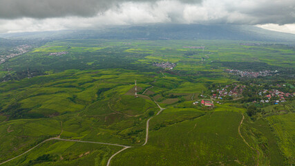 Aerial drone of highlands with tea plantations. Tea estates and farmland in Sumatra. Kayu Aro,...