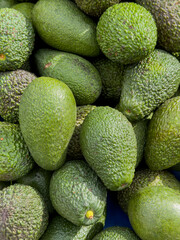 fresh avocados in summer