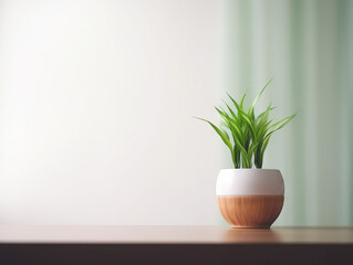 Minimalist and Modern Potted Plant in A Simple Room Using Generative AI