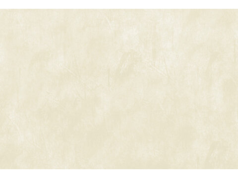 和紙背景　Japanese Paper Background