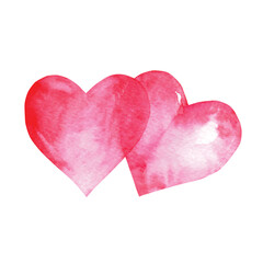 two hearts watercolor flowers hand drawn isolated on white, vector