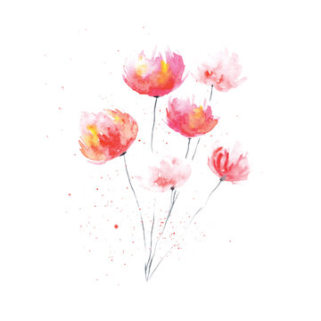 red watercolor flowers hand drawn isolated on white, vector