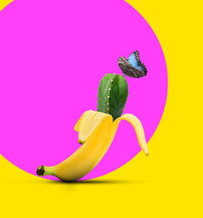 Creative artwork. Cactus in banana peel and beautiful butterfly on color background