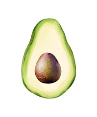 Digital Watercolor vector hand drawn illustration with fresh green avocado on the white background