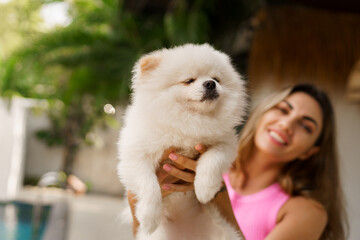 Adorable toy pomeranian dog  in arms of its loving owner. Small adorable doggy with funny fur with  pretty woman.  Tropical moder villa on background.