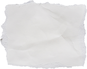 piece of white paper tear isolated on white background