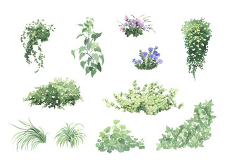 Floral set of green grasses, wild plants and flowers, climbing plants and bushes, watercolor isolated illustration for your design textile, nature print, summer cards or wallpapers. - 596198611