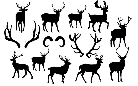 vector set of animal silhouettes deers 