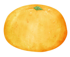 Watercolour orange fruit hand painted illustration
