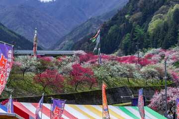 花桃の里