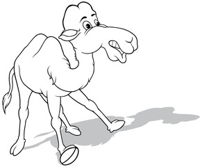 Drawing of a Camel with a Surprised Expression