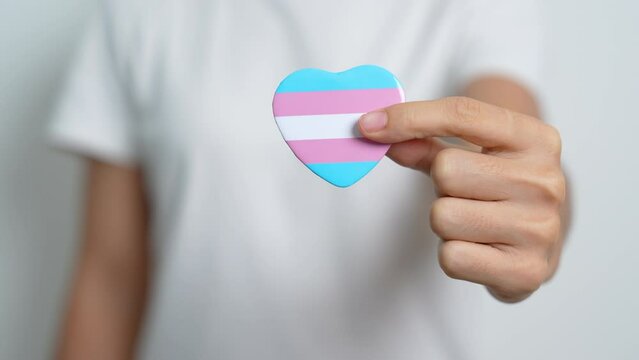 Transgender Day and LGBT pride month,  LGBTQ+ or LGBTQIA+ concept. hand holding blue, pink and white heart shape for Lesbian, Gay, Bisexual, Transgender, Queer and Pansexual community