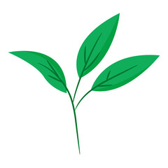 Single Leaf Flat. Vector Illustration	