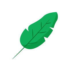 Leaf Flat. Vector Illustration