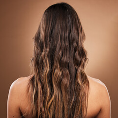 Back, hair and beauty with a model woman in studio on a brown background for natural or keratin...