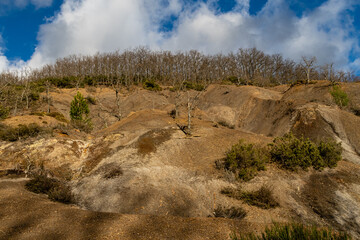 Landscape with gullies, oak forest and blue sky with clouds. Piedrasecha, Leon, Spain.