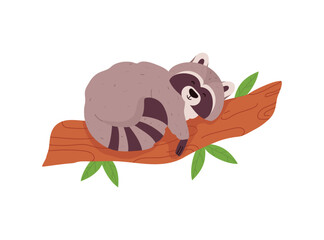 Cute baby raccoon sleeping on tree branch cartoon vector illustration isolated.
