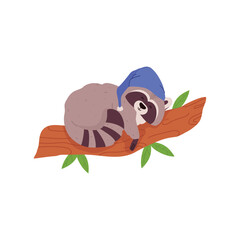 Cute raccoon sleeping on tree branch, cartoon flat vector illustration isolated on white background.
