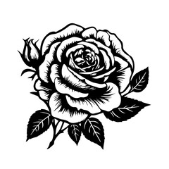 Rose Vector