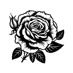 Rose Vector