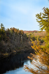 autumn in the forest