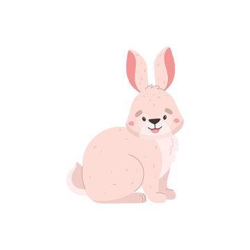 Rabbit or hare character sitting on paws, flat vector illustration isolated.