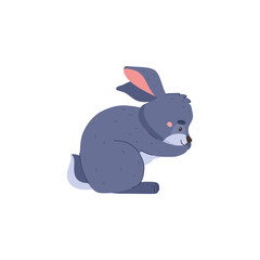 Cute rabbit or bunny, cartoon flat vector illustration isolated on white background.