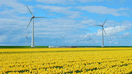  windmill park with a blue sky and green agricultural field, windmill park in the ocean