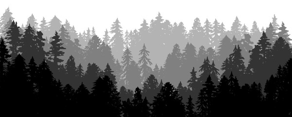 Wild deep forest silhouette. Layered vector illustration. Foggy hill landscape