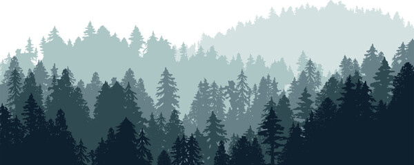 Wild deep forest silhouette. Layered vector illustration. Foggy hill landscape